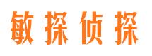 宜黄市调查公司